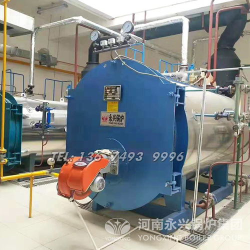 1噸燃?xì)庹羝仩t選購指南 市場行情與出廠價格解析