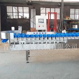 拉缸鹽海參重量分級(jí)機(jī) 料盒式自動(dòng)重量揀選機(jī) 廠家直銷
